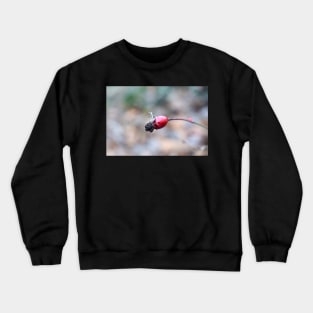 Wild Rose Fruit Crewneck Sweatshirt